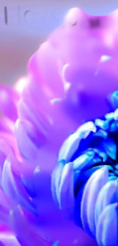 Flor  Live Wallpaper