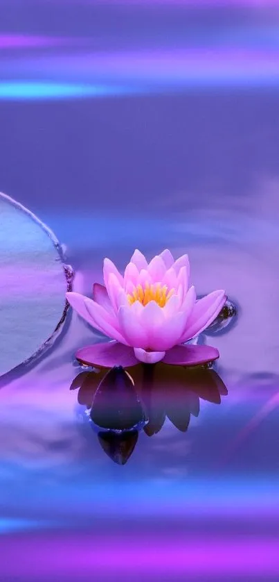 the flower Live Wallpaper