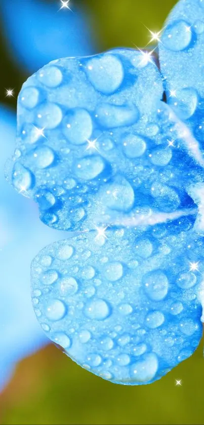 Flower Water Plant Live Wallpaper