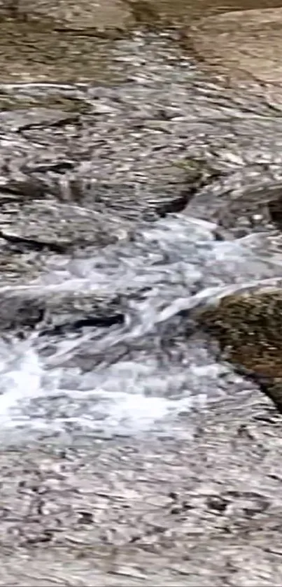 A close-up view of a flowing stream over rocks.