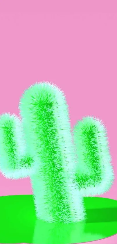 Fluffy green cactus against a bold pink background.