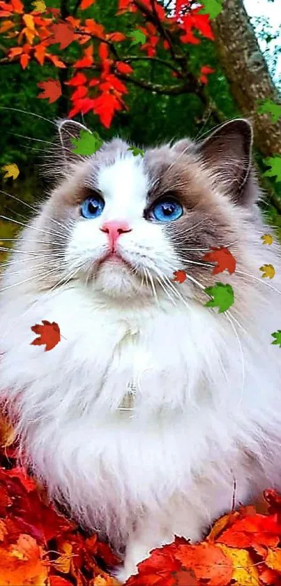 Fluffy cat amidst vibrant autumn leaves with a serene backdrop.