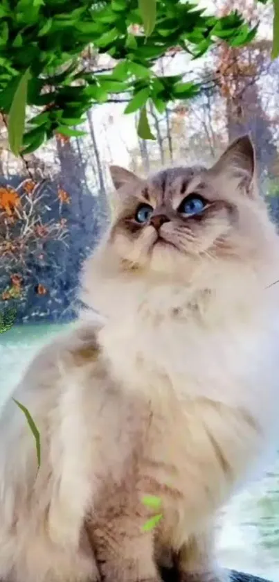 Fluffy cat with blue eyes by a calm lake.