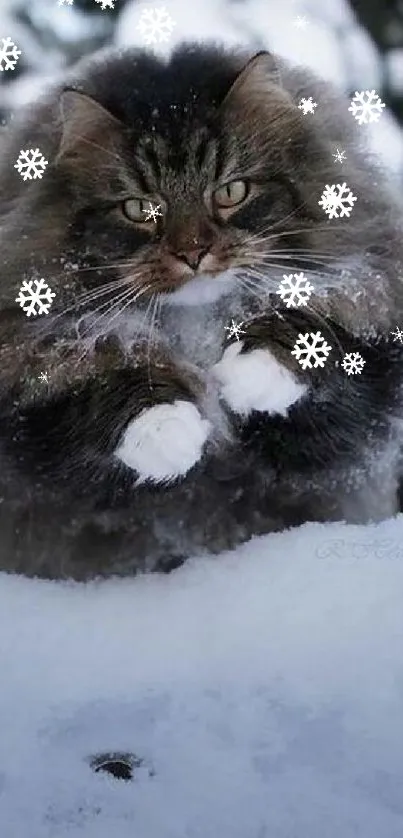 Fluffy cat playing in the snowy outdoors, creating a serene winter scene.