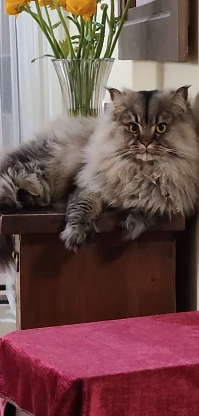 Fluffy cat lounging indoors with yellow flowers.