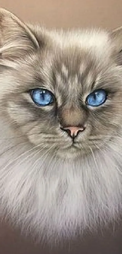 Realistic fluffy white cat with striking blue eyes, perfect for mobile wallpaper.