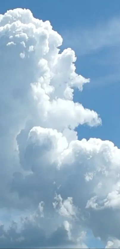 Fluffy clouds against a serene blue sky.