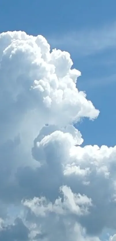 Fluffy clouds floating in a blue sky.