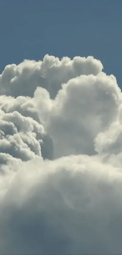 Fluffy white clouds in a clear blue sky.