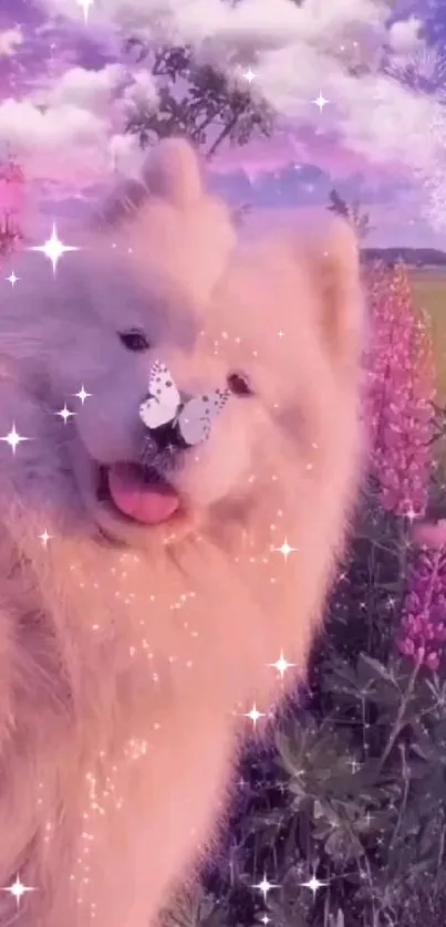 Fluffy dog with butterflies in a pink field.