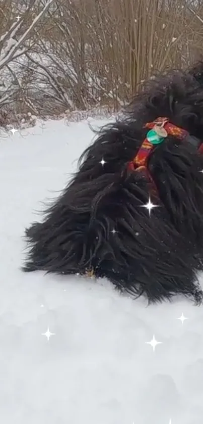 Fluffy dog joyfully playing in the snow with twinkling star effects.