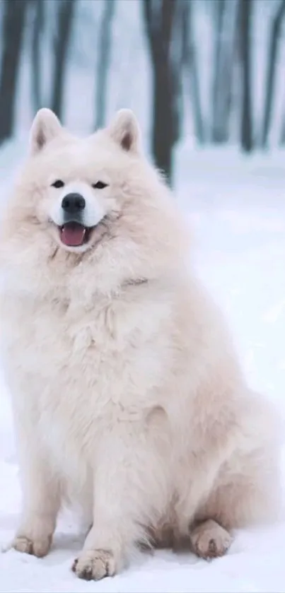 Fluffy white dog sitting in snowy forest scene.