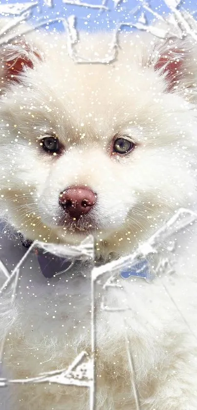 Fluffy white puppy in a snowy winter setting.