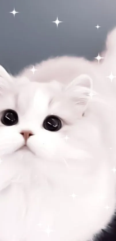 Fluffy white cat with big eyes, perfect for mobile wallpaper.