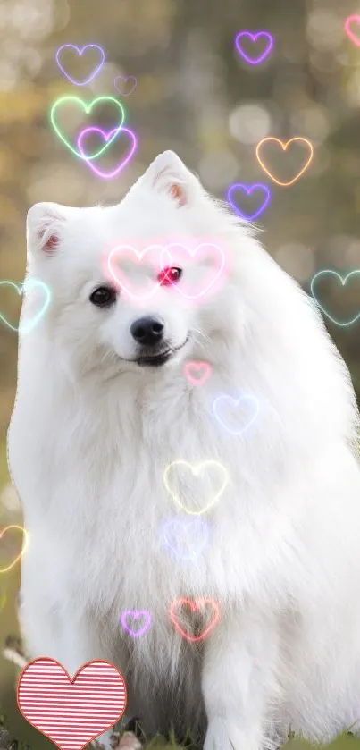 Fluffy white dog sitting in a lush green field during fall.