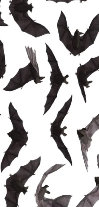 Silhouettes of flying bats on a white background, creating a dark theme.