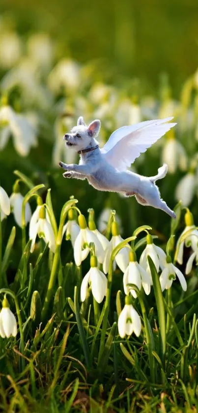 Whimsical winged dog hovering over snowdrop flowers.