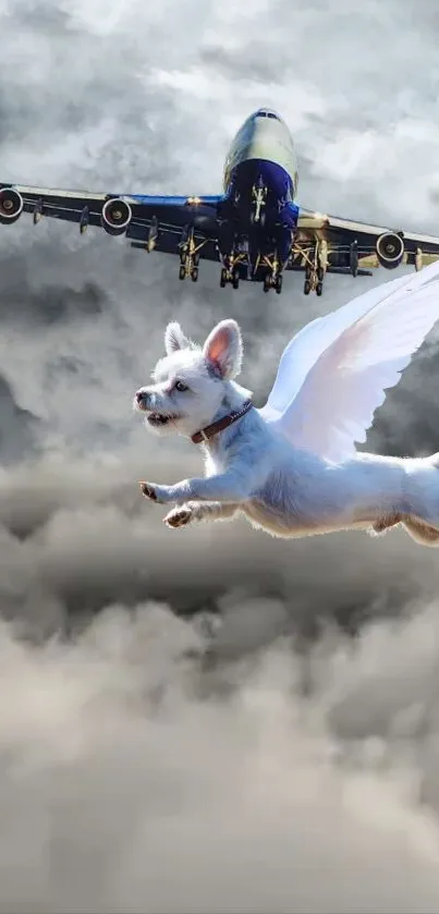 Flying white dog with wings beneath an airplane in clouds.