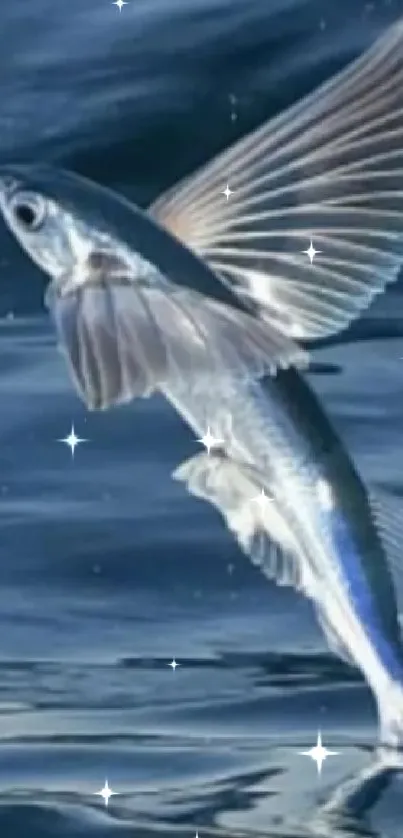 Flying fish soaring above dark blue ocean waves.