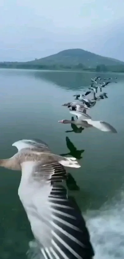 Geese flying over a serene lake with mountain backdrop.