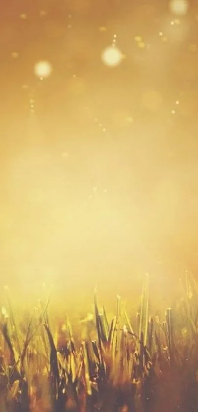 Fog Sky Fireworks Live Wallpaper
