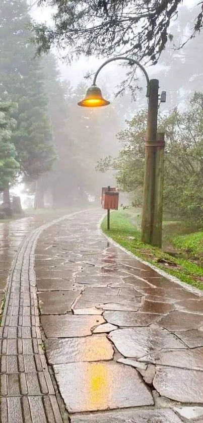 Misty forest pathway with glowing light under foggy trees.