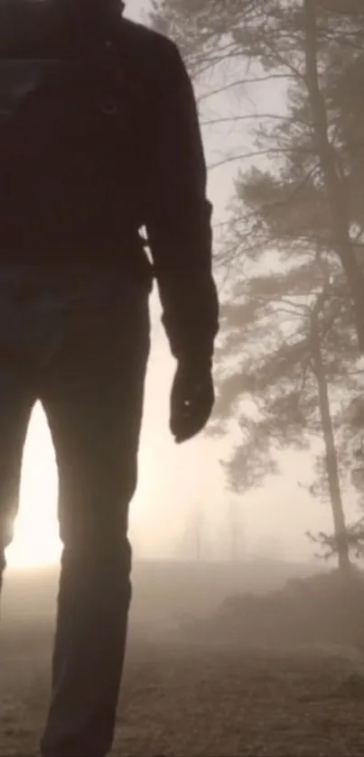 Silhouette walking through foggy forest path with tall trees.