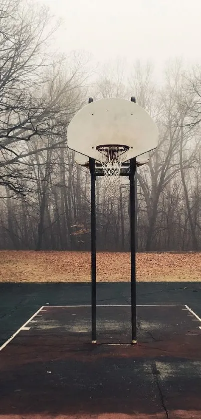 Foggy basketball court surrounded by bare trees.