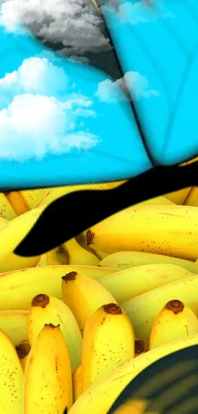 Food Banana Photograph Live Wallpaper