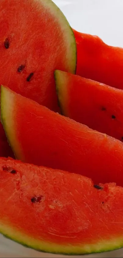 Food Citrullus Photograph Live Wallpaper