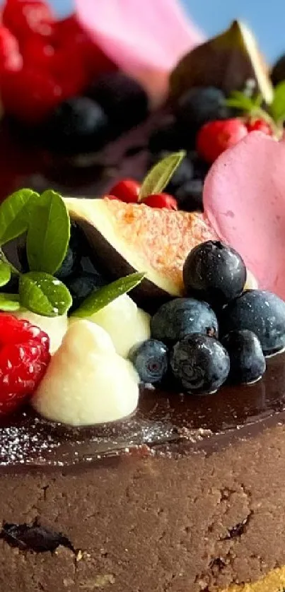 Chocolate cake topped with fresh berries and figs.