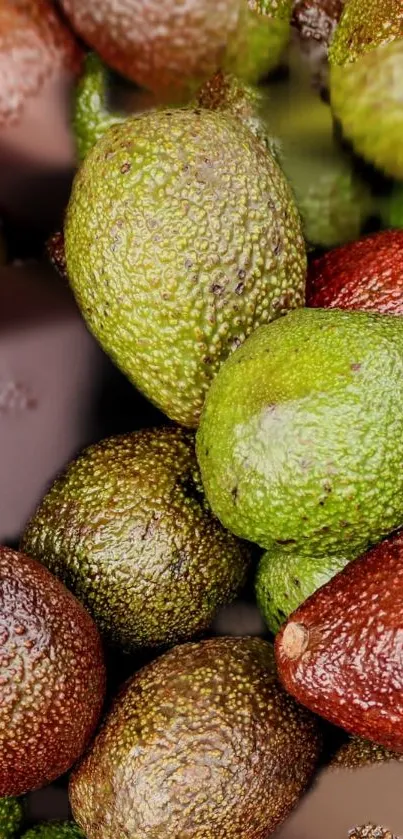 The Fruit Live Wallpaper