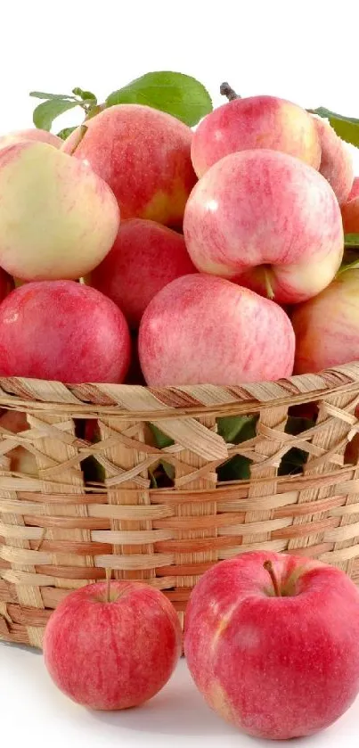 my new wallpaper  Live Wallpaper