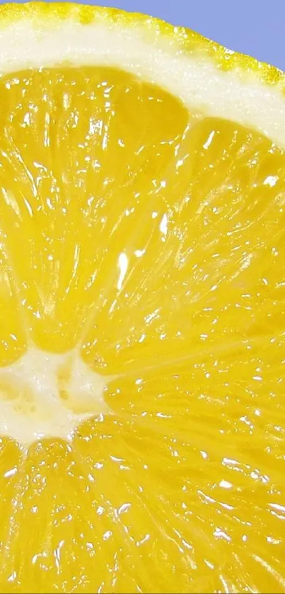 lemon by ss Live Wallpaper