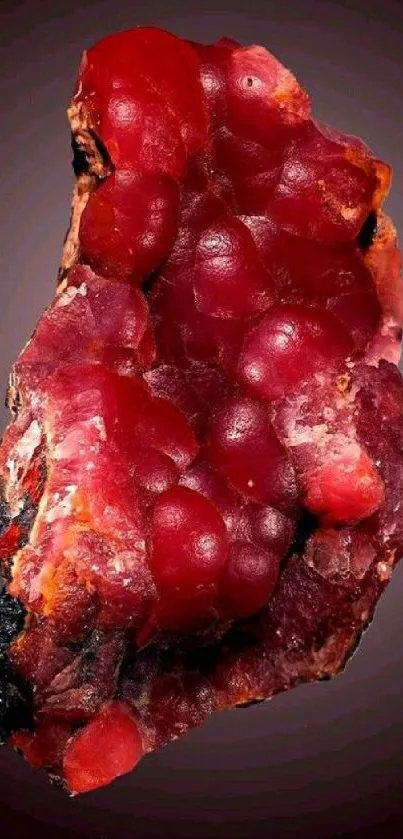 Food Ingredient Natural Material Live Wallpaper