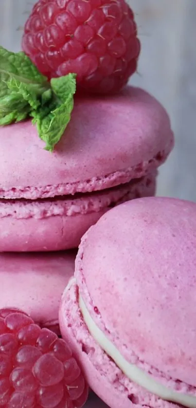 Food Macaroon Plant Live Wallpaper