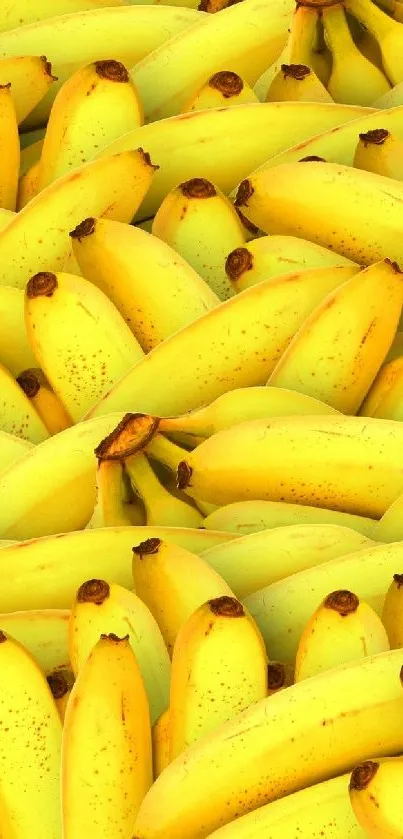 plátano  Live Wallpaper
