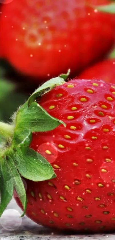 🍓strawberry 🍓 Live Wallpaper