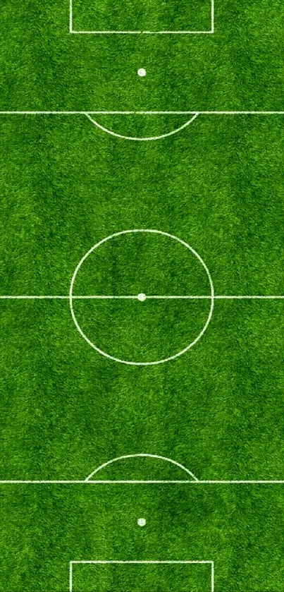 High-resolution mobile wallpaper of a soccer field with green grass.