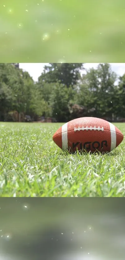 Football sitting on a grassy field under a bright sky.