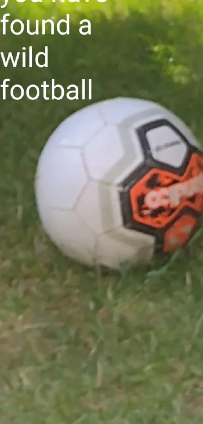 Football resting on green grass with natural background.