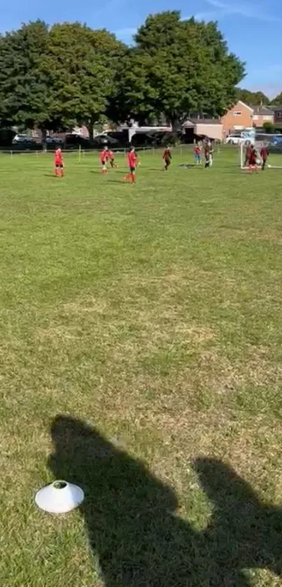 Soccer players on bright green field under a blue sky in a neighborhood park.