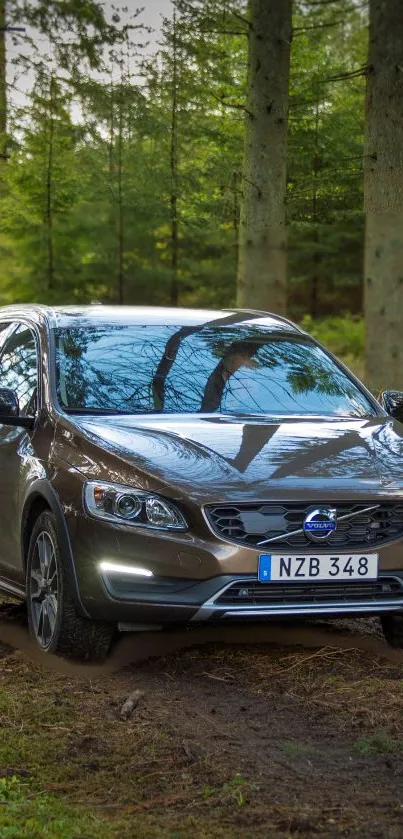 Car in the forest mobile wallpaper with lush greenery.