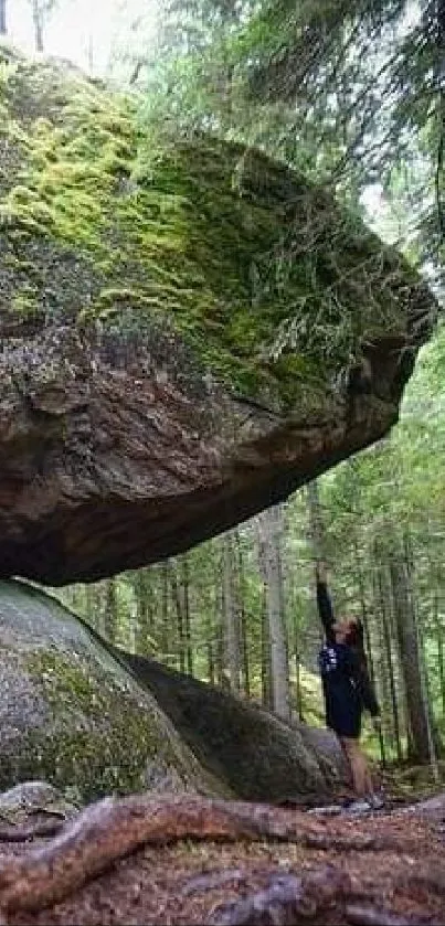 Mossy boulder balanced in lush forest setting.