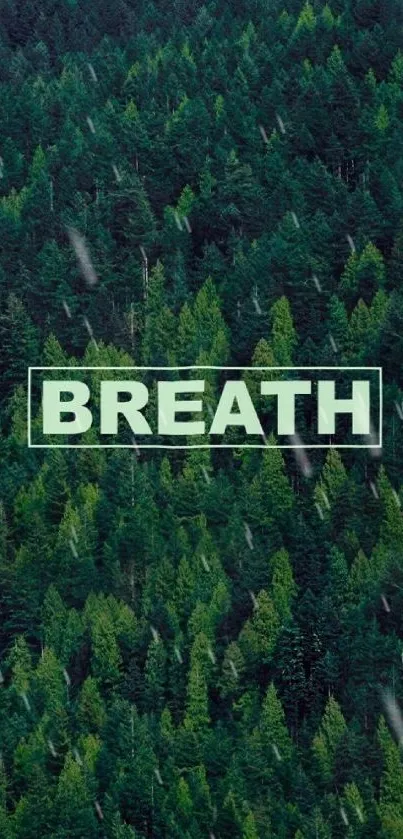 Forest green wallpaper with 'BREATH' text.