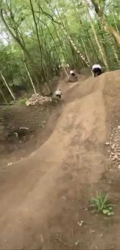 Cyclists navigate a forest trail in vibrant green woods.