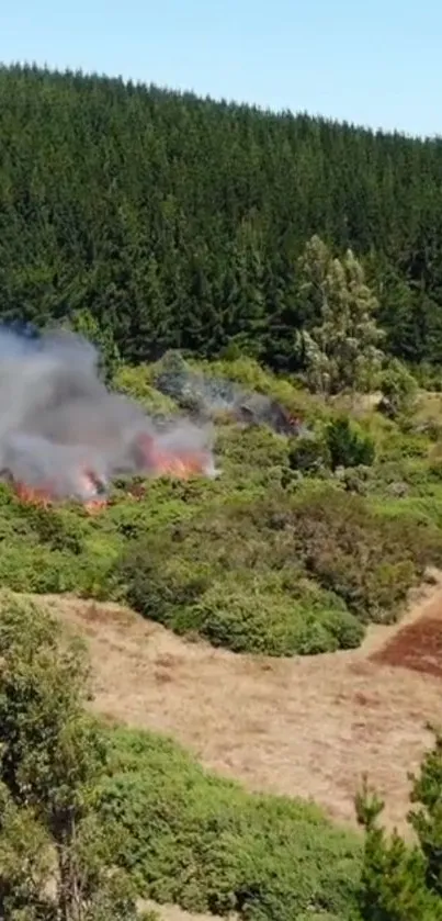 Aerial view of a forest fire with smoke rising among greenery.