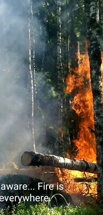 Forest fire wallpaper showcasing flames and smoke, highlighting fire safety.