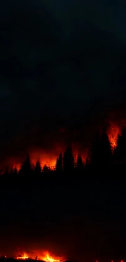 Dark forest fire wallpaper with glowing night sky.