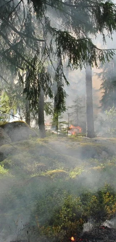 Smoke-filled forest with fires and sun rays filtering through the trees.